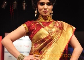 Hyderabad Fashion Week 2013 Day3 Photos photo 114