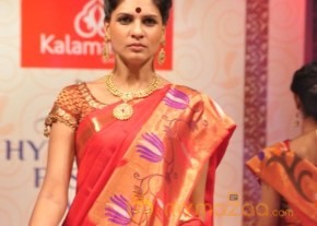 Hyderabad Fashion Week 2013 Day3 Photos photo 3