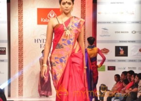 Hyderabad Fashion Week 2013 Day3 Photos photo 88