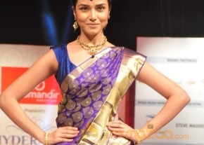 Hyderabad Fashion Week 2013 Day3 Photos photo 80