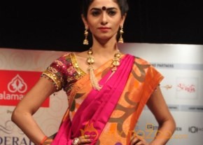 Hyderabad Fashion Week 2013 Day3 Photos photo 56