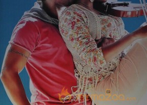Iddarammayilatho Audio Launch Photos photo 10