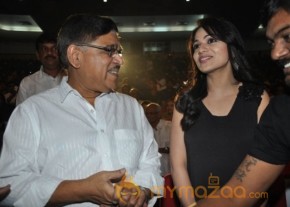 Iddarammayilatho Audio Launch Photos photo 43