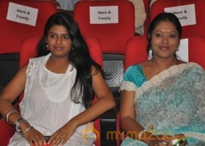 Iddarammayilatho Audio Launch Photos photo 18