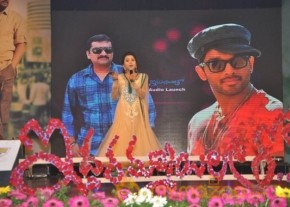 Iddarammayilatho Audio Launch Photos photo 28