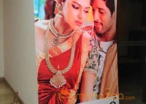 Iddarammayilatho Hexa Platinum Disc Function Photos photo 27