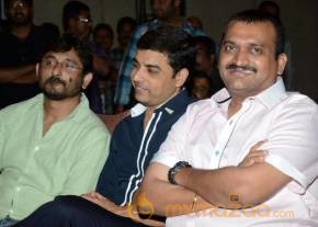 Iddarammayilatho Hexa Platinum Disc Function Photos photo 3