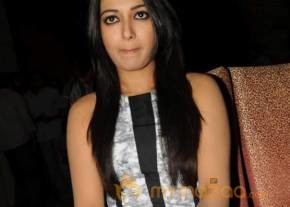 Iddarammayilatho Hexa Platinum Disc Function Photos photo 30