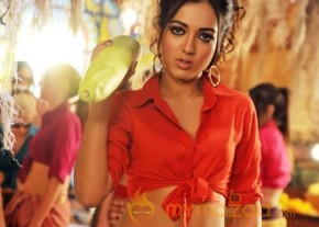 Iddarammayilatho  Hot photos photo 13