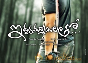 Iddarammayilatho Movie New Wallpapers photo 5