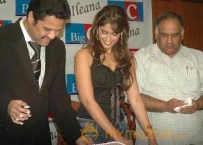 Ileana at Big C Launch  photo 5