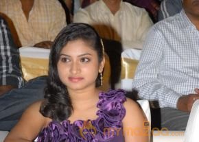 Jai Sriram Movie Audio Launch Gallery  photo 8