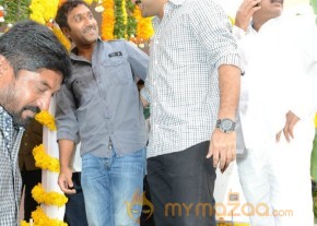 Jr.NTR Production No 3 New Movie Launch  photo 28