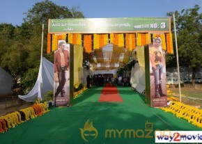Jr.NTR Production No 3 New Movie Launch  photo 50