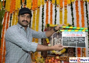 Jr.NTR Production No 3 New Movie Launch  photo 15