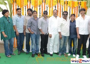 Jr.NTR Production No 3 New Movie Launch  photo 92
