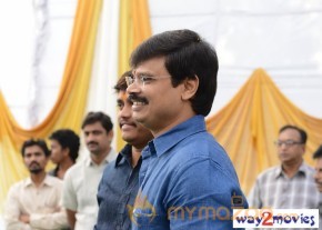 Jr.NTR Production No 3 New Movie Launch  photo 23