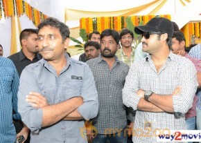 Jr.NTR Production No 3 New Movie Launch  photo 21