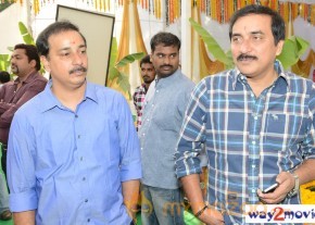 Jr.NTR Production No 3 New Movie Launch  photo 20