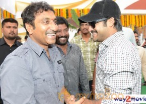 Jr.NTR Production No 3 New Movie Launch  photo 16