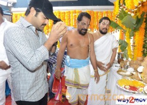 Jr.NTR Production No 3 New Movie Launch  photo 11