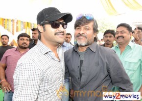 Jr.NTR Production No 3 New Movie Launch  photo 80