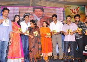 kevvu keka Audio Launch Photos photo 49
