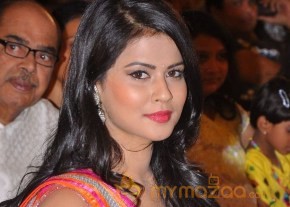 kevvu keka Audio Launch Photos photo 110