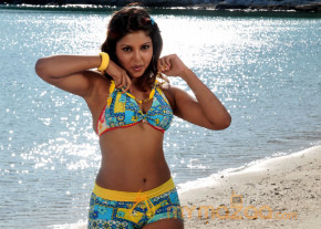 Komal Jha New Hot Photo Gallery  photo 30