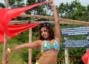 Komal Jha New Hot Photo Gallery  photo 29