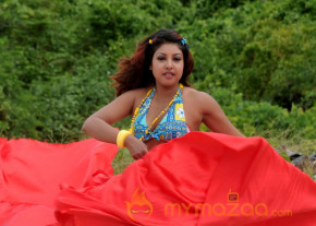Komal Jha New Hot Photo Gallery  photo 6