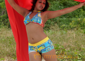 Komal Jha New Hot Photo Gallery  photo 15