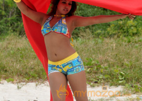 Komal Jha New Hot Photo Gallery  photo 42