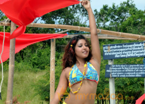 Komal Jha New Hot Photo Gallery  photo 25