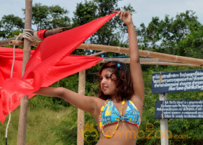 Komal Jha New Hot Photo Gallery  photo 63