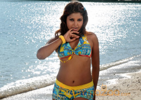 Komal Jha New Hot Photo Gallery  photo 4
