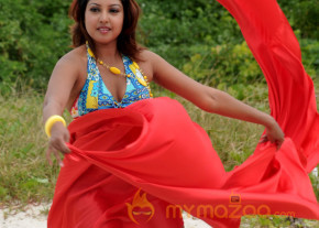 Komal Jha New Hot Photo Gallery  photo 19