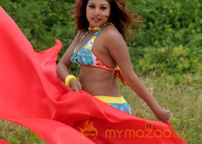 Komal Jha New Hot Photo Gallery  photo 43