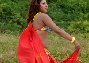 Komal Jha New Hot Photo Gallery  photo 13