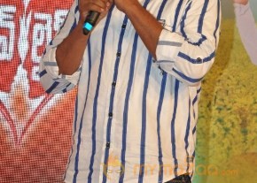 Love Life Movie Audio launch Gallery photo 24