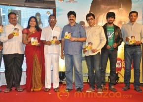 Love Life Movie Audio launch Gallery photo 14