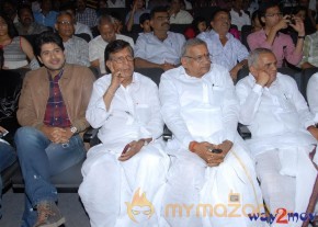 Love Touch Audio Launch Photos Gallery  photo 52