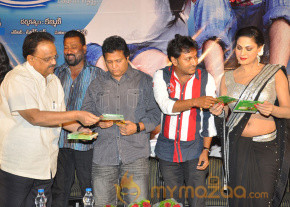 Made in Vizag Audio Launch Photos photo 6