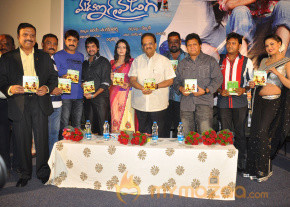Made in Vizag Audio Launch Photos photo 10