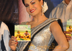 Made in Vizag Audio Launch Photos photo 4