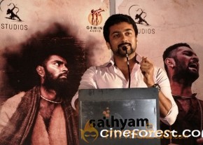 MADHUSALINI AT PARADESI AUDIO LAUNCH  GALLERY photo 17