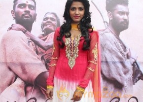 MADHUSALINI AT PARADESI AUDIO LAUNCH  GALLERY photo 20