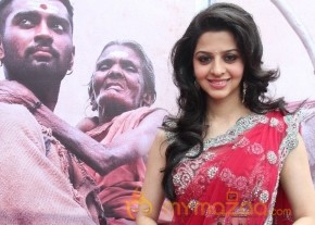 MADHUSALINI AT PARADESI AUDIO LAUNCH  GALLERY photo 2