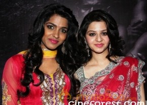 MADHUSALINI AT PARADESI AUDIO LAUNCH  GALLERY photo 6