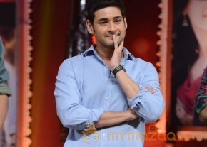 Mahesh Babu At SVSC Triple Platinum Disc Function   photo 27